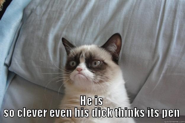  HE IS SO CLEVER EVEN HIS DICK THINKS ITS PEN Grumpy Cat