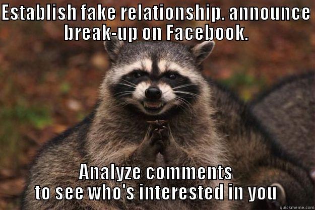 ESTABLISH FAKE RELATIONSHIP. ANNOUNCE BREAK-UP ON FACEBOOK. ANALYZE COMMENTS TO SEE WHO'S INTERESTED IN YOU Evil Plotting Raccoon