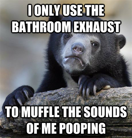 I only use the bathroom exhaust  to muffle the sounds of me pooping  Confession Bear