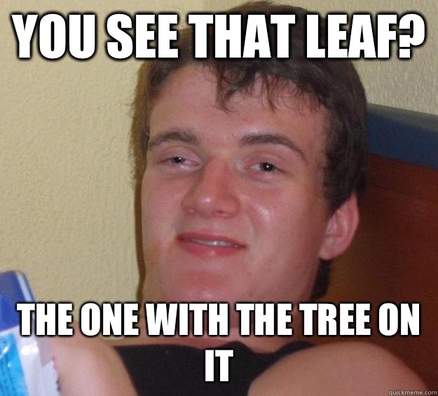 You see that leaf? The one with the tree on it - You see that leaf? The one with the tree on it  10 Guy