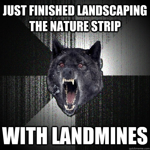 just finished landscaping the nature strip with landmines  Insanity Wolf