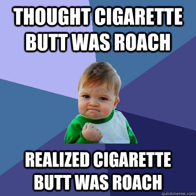 thought cigarette butt was roach realized cigarette butt was roach  Success Kid