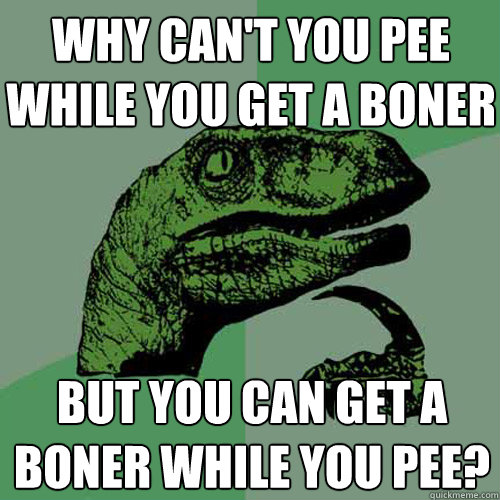 Why can't you pee while you get a boner 
 But you can get a boner while you pee?   Philosoraptor