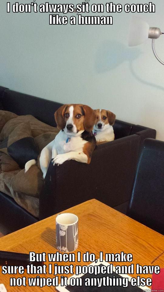 The Most Interesting Beagle in the World - I DON'T ALWAYS SIT ON THE COUCH LIKE A HUMAN BUT WHEN I DO, I MAKE SURE THAT I JUST POOPED AND HAVE NOT WIPED IT ON ANYTHING ELSE Misc