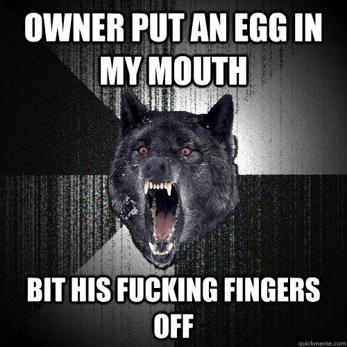 Owner put an egg in my mouth Bit his fucking fingers off  Insanity Wolf