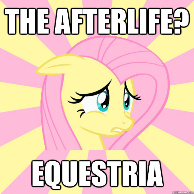 The afterlife? Equestria  Socially awkward brony