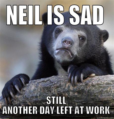 SAD NEIL - NEIL IS SAD STILL ANOTHER DAY LEFT AT WORK Confession Bear