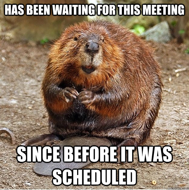 has been waiting for this meeting since before it was scheduled - has been waiting for this meeting since before it was scheduled  Eager Beaver