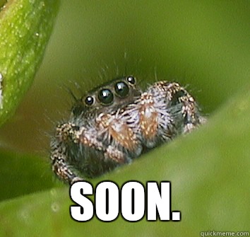  Soon.  Misunderstood Spider