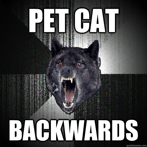 Pet cat BACKWARDS Insanity Wolf quickmeme