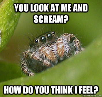 you look at me and scream? how do you think I feel?  Misunderstood Spider