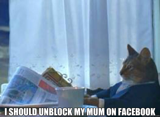 I should unblock my mum on facebook   I should buy a boat cat