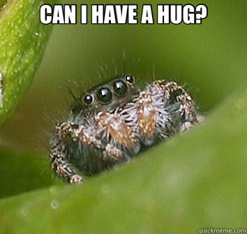 CAN I HAVE A HUG?   Misunderstood Spider