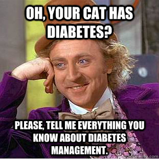 Oh, your cat has diabetes? Please, tell me everything you know about diabetes management. - Oh, your cat has diabetes? Please, tell me everything you know about diabetes management.  Condescending Wonka