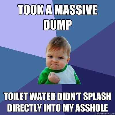 took a massive dump toilet water didn't splash directly into my asshole  Success Kid