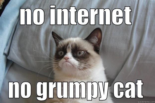 NO INTERNET NO GRUMPY CAT Grumpy Cat