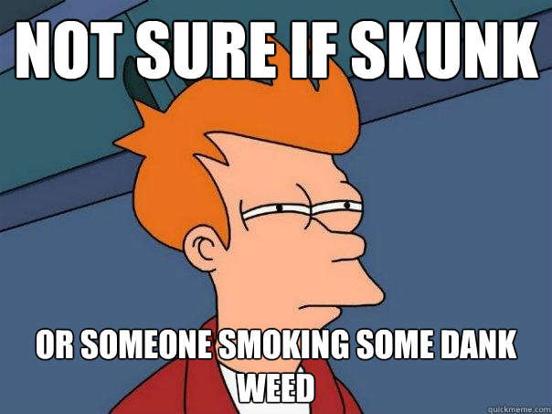 not sure if skunk or someone smoking some dank weed  Futurama Fry