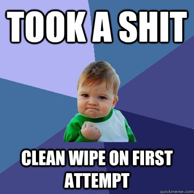 took a shit Clean wipe on first attempt  Success Kid