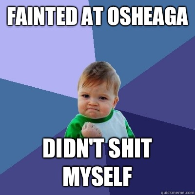 Fainted at Osheaga Didn't shit myself  Success Kid