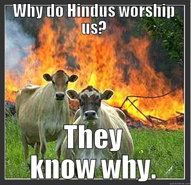 WHY DO HINDUS WORSHIP US? THEY KNOW WHY. Evil cows