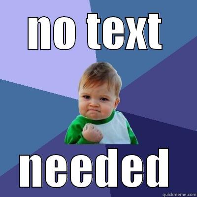 what if - NO TEXT NEEDED Success Kid