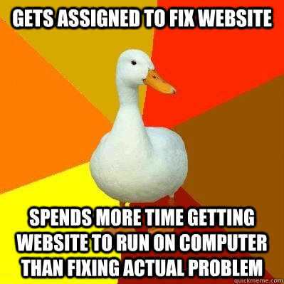 Gets assigned to fix website Spends more time getting website to run on computer than fixing actual problem  Tech Impaired Duck