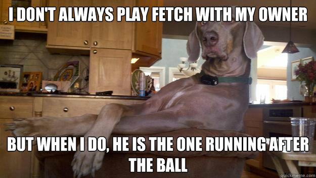 I don't always play fetch with my owner but when I do, he is the one running after the ball  The Most Interesting Dog in the World