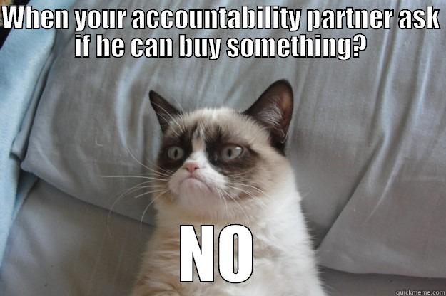 WHEN YOUR ACCOUNTABILITY PARTNER ASK IF HE CAN BUY SOMETHING? NO Grumpy Cat