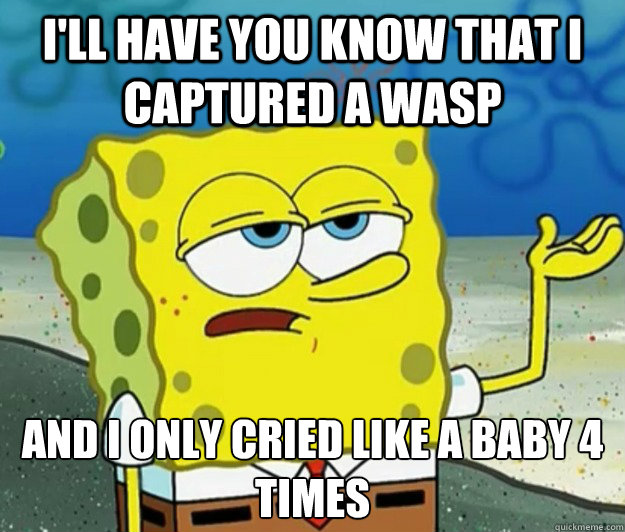 I'll have you know that I captured a wasp And I only cried like a baby 4 times  Tough Spongebob