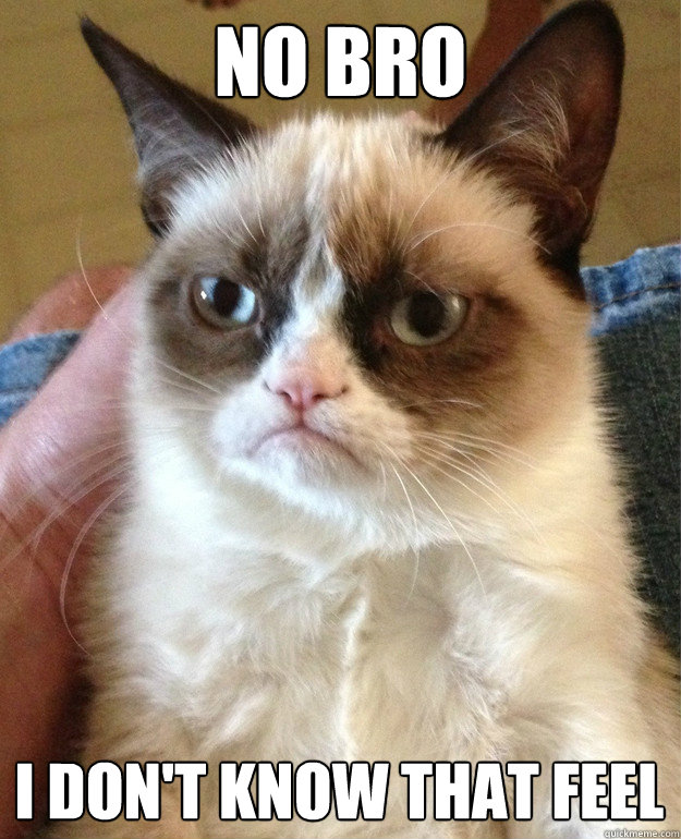 no bro I don't know that feel  Grumpy Cat