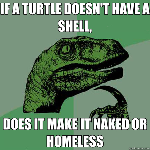 IF A TURTLE DOESN'T HAVE A SHELL, DOES IT MAKE IT NAKED OR HOMELESS  Philosoraptor