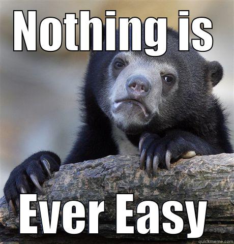 NOTHING IS EVER EASY Confession Bear