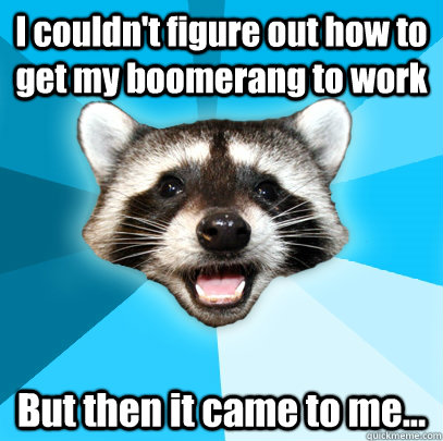 I couldn't figure out how to get my boomerang to work But then it came to me... - I couldn't figure out how to get my boomerang to work But then it came to me...  Lame Pun Coon