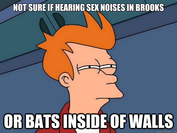 not sure if hearing sex noises in brooks Or bats inside of walls  Futurama Fry