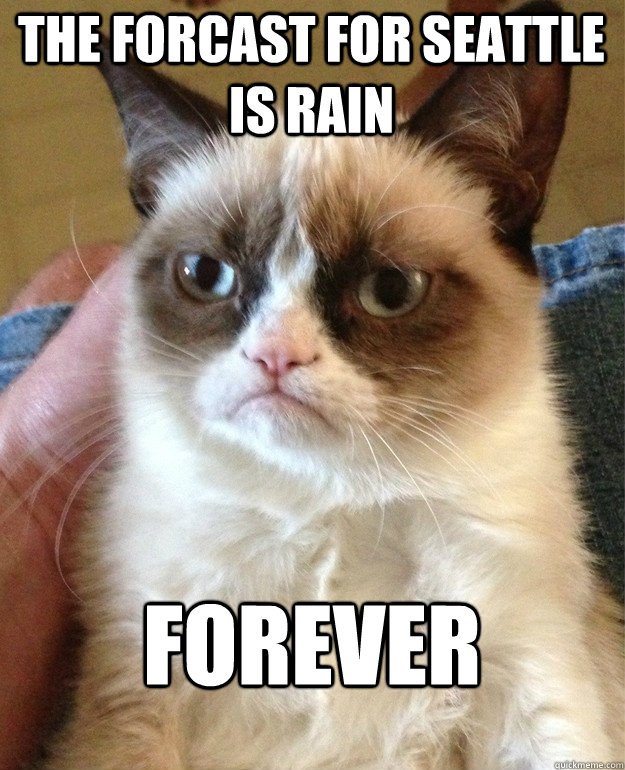 the forcast for seattle is rain forever  Grumpy Cat