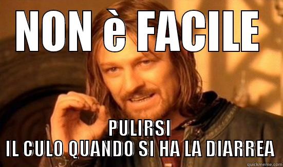 NON È FACILE PULIRSI IL CULO QUANDO SI HA LA DIARREA Boromir