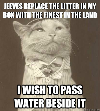 Jeeves replace the litter in my box with the finest in the land I wish to pass water beside it  Aristocat