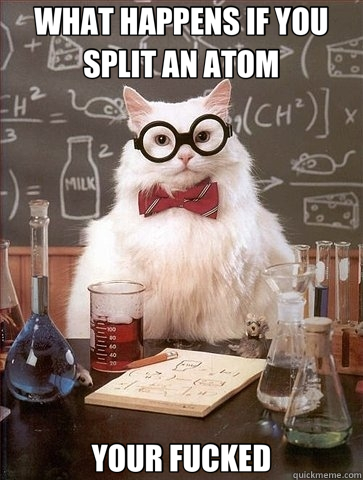 WHAT HAPPENS IF YOU SPLIT AN ATOM YOUR FUCKED  Chemistry Cat