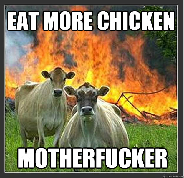 Eat More Chicken Motherfucker  Evil cows