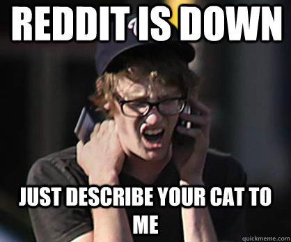 reddit is down just describe your cat to me  