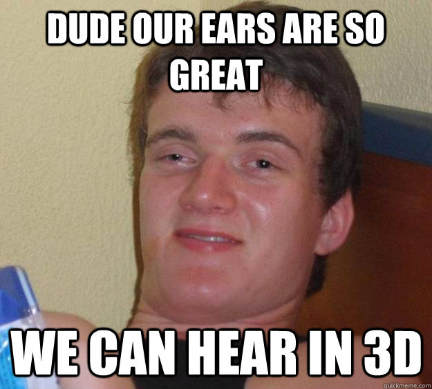 Dude our ears are so great we can hear in 3d  10 Guy