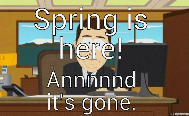 SPRING IS HERE! ANNNNND IT'S GONE. aaaand its gone