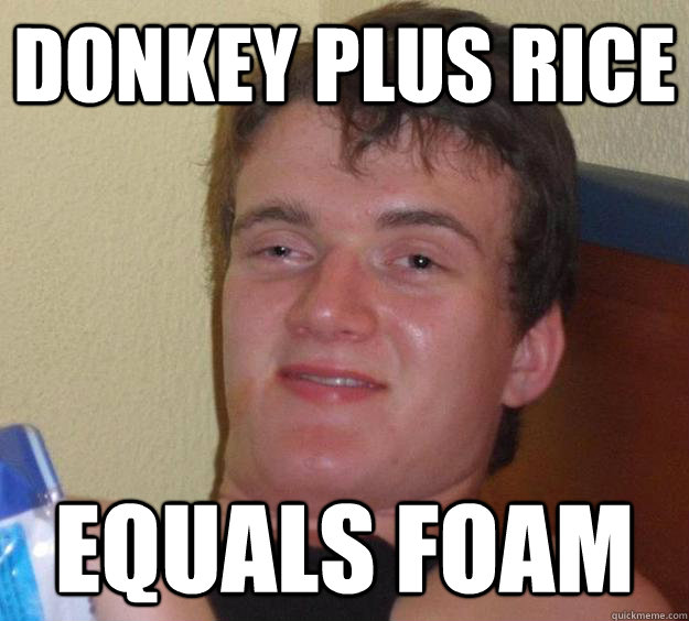 donkey plus rice equals foam  10 Guy