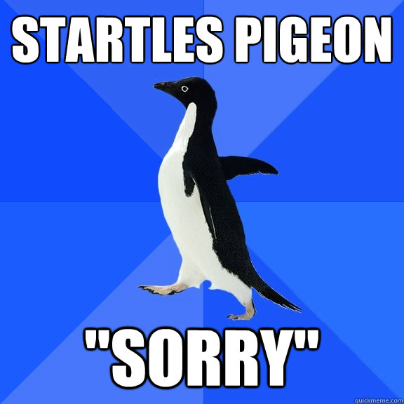 startles pigeon 