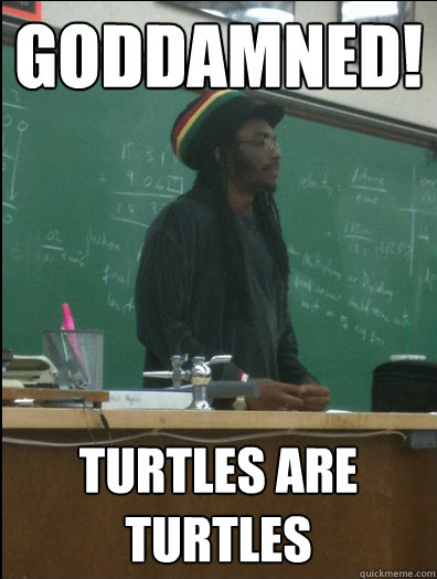 GODDAMNED! TURTLES ARE TURTLES  Rasta Science Teacher