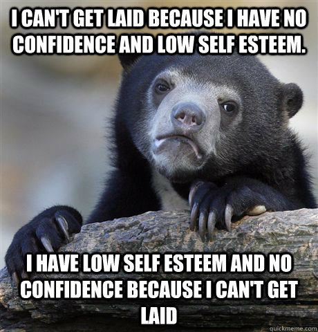 I can't get laid because I have no confidence and low self esteem. I have low self esteem and no confidence because I can't get laid  Confession Bear