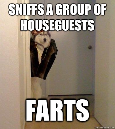 SNIFFS A GROUP OF HOUSEGUESTS FARTS  Scumbag dog