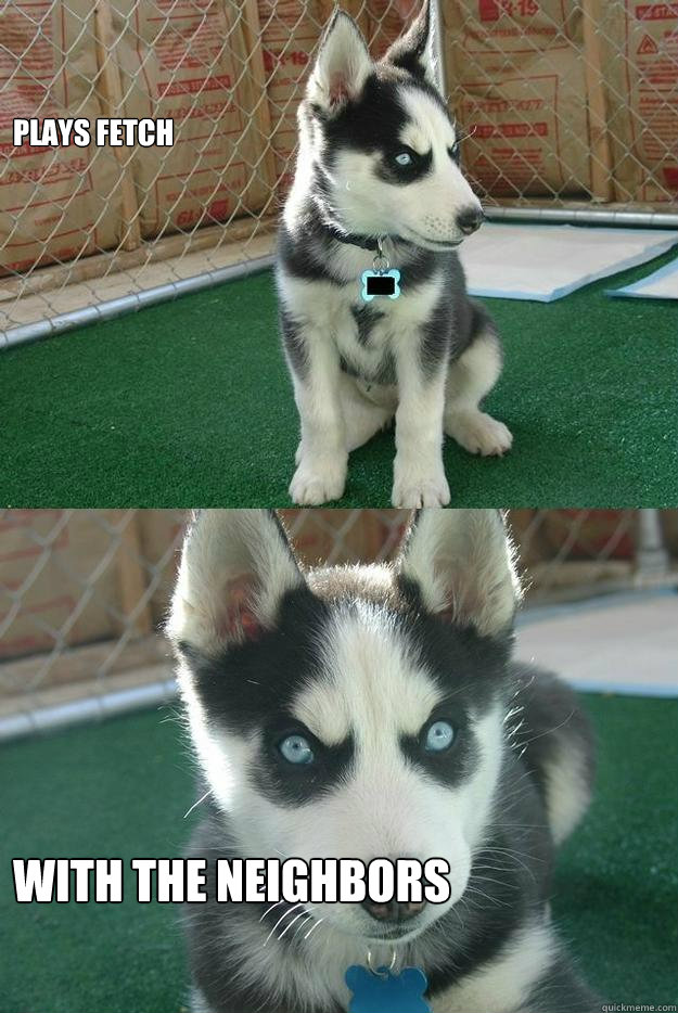 Plays fetch with the neighbors  Insanity puppy