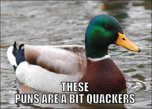  THESE PUNS ARE A BIT QUACKERS Actual Advice Mallard