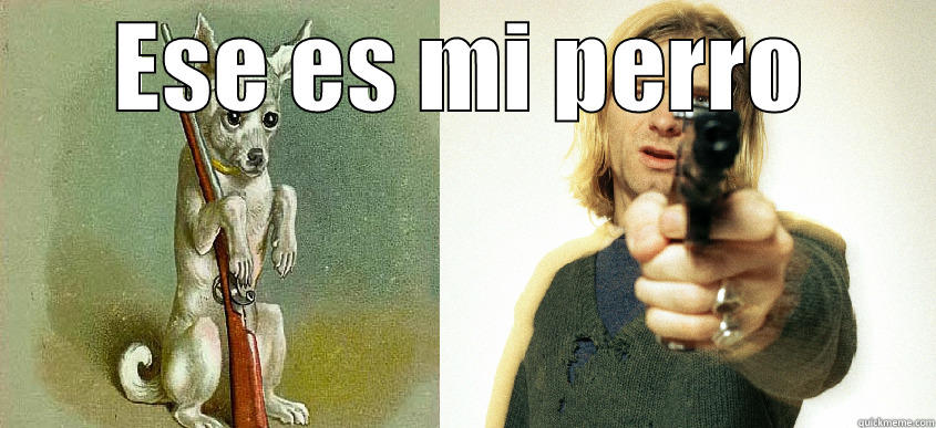 ESE ES MI PERRO  Misc